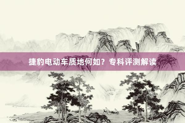捷豹电动车质地何如？专科评测解读